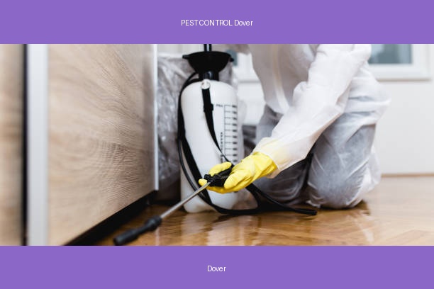 PEST CONTROL Dover